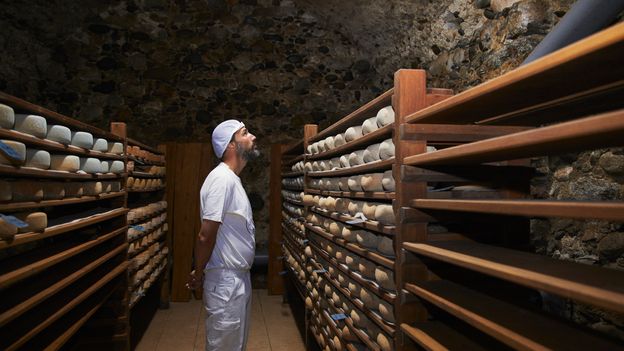 A man stares at a rack of cheese wheels in a stone cellar (Credit: Alexander Pomper)
