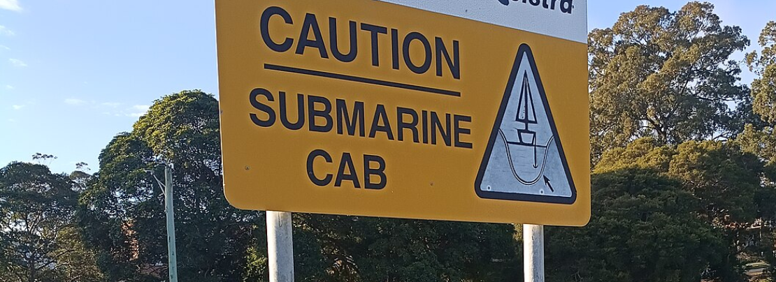 Submarine cable resilience